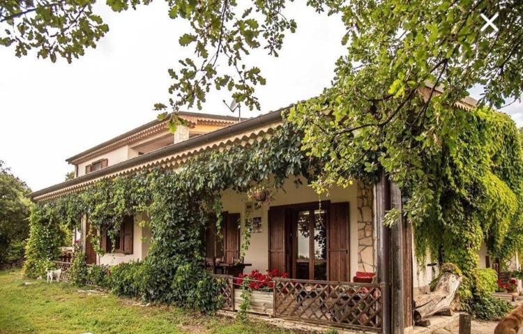 The Forest House Isernia Eksteriør billede
